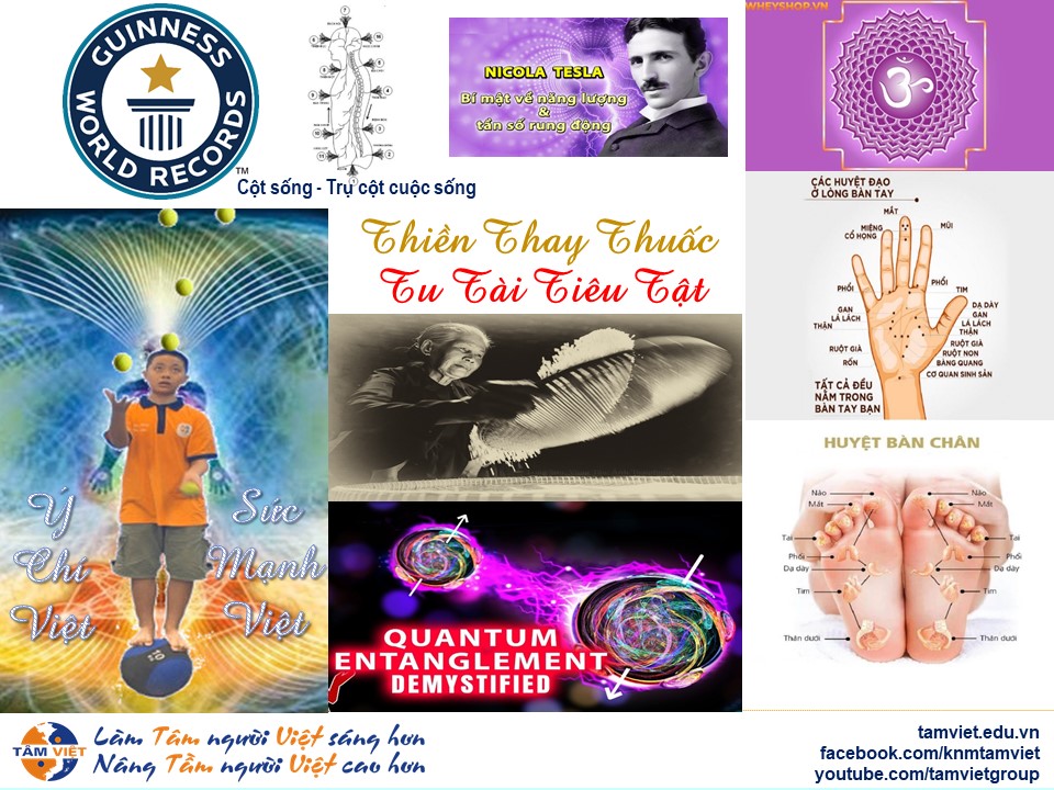 Đào tạo - Tọa đàm: THIỀN NĂNG LƯỢNG RUNG ĐỘNG CỘNG HƯỞNG (VREM)