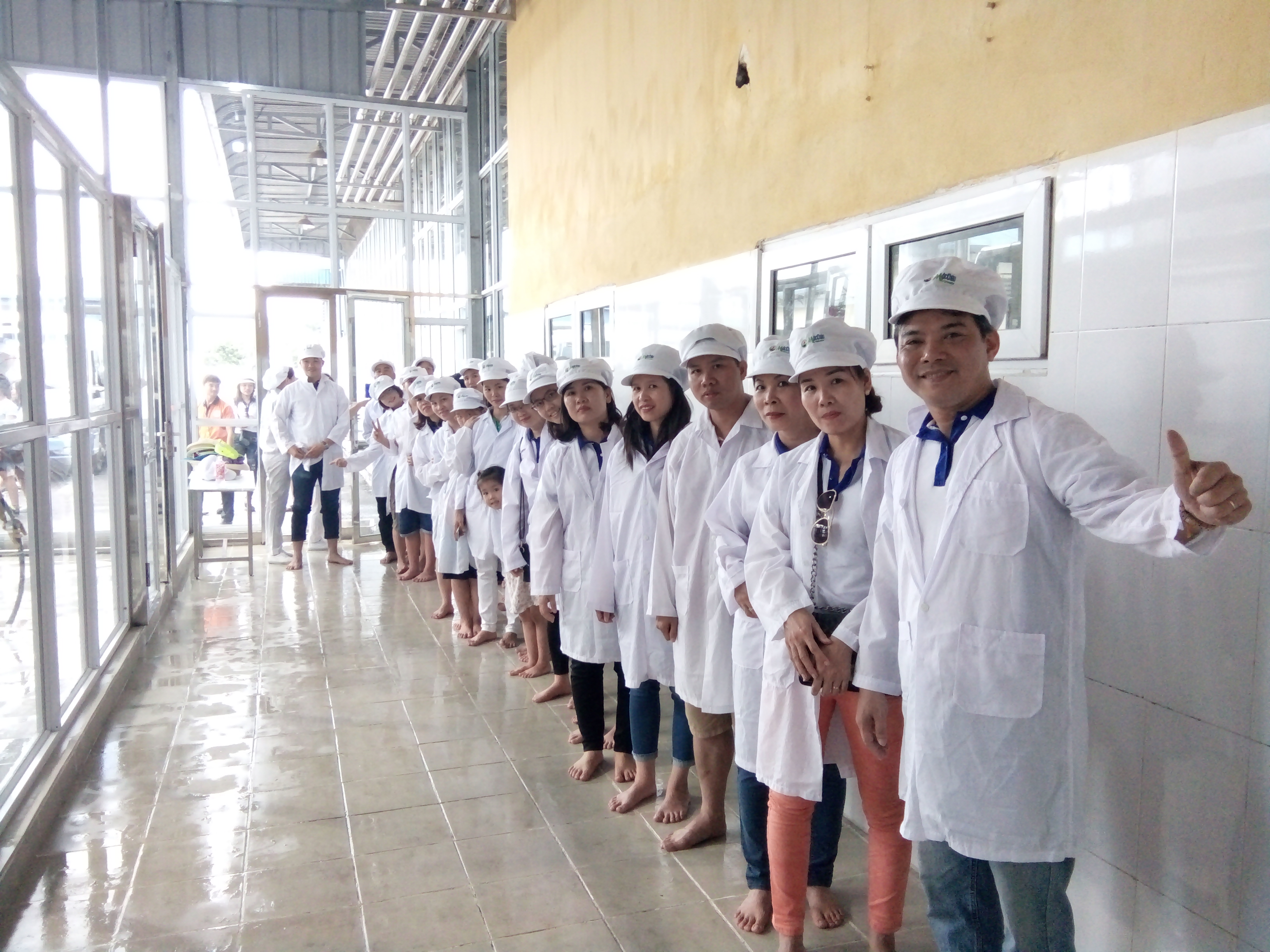 Chương trình 