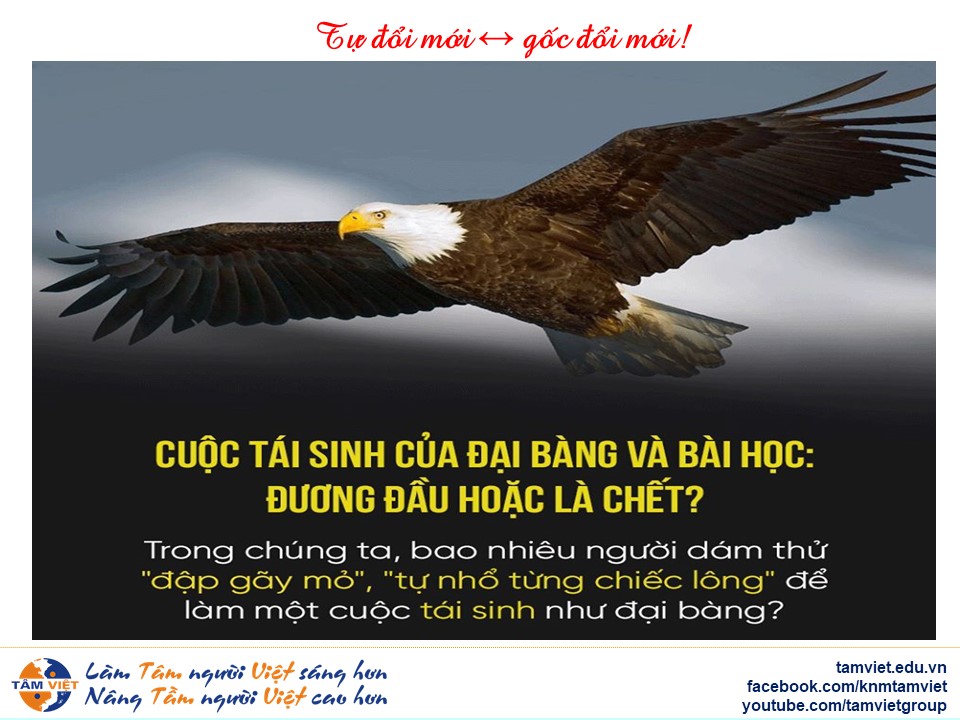 Tự đổi mới - Gốc của đổi mới!