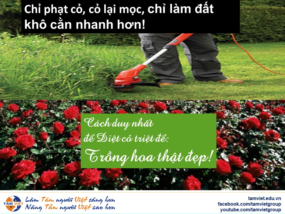 Khơi nguồn đam mê, dập tắt ngọn lửa nghiện: Góc nhìn mới trong quản trị năng lượng con người